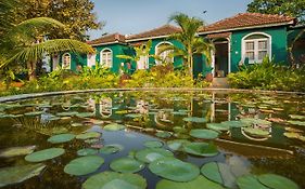 Aquatica Resorts & Spa